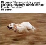 Mi perro ,ser como prros xdxd.jpg