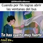 las ventanas del bus.jpg