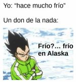 Mimm del frio ,prros.jpg
