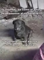 Filosofia v Chamba prros xdxd.jpg