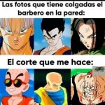Mondongo ,prros.jpg