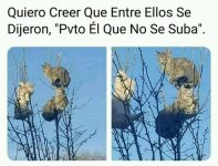 pt@ el que no se suba xdxd.jpeg