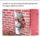 Confirmo ,prros.jpg