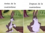 fybgwetcia621.jpg