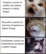 El titulo se fua a mimir ,prros v3.jpg