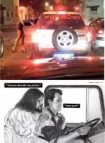 Otra vez ,prros.jpg