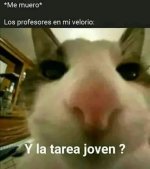 Y la tarea joven xdxd.jpg