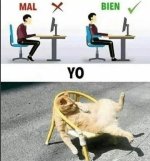El titulo esta sentado ,tb prros.jpg