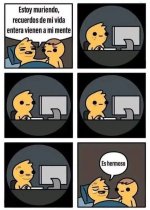 Es hermoso ,prros.jpg