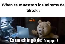 Es un chingo d v 2.1.3 - v TikTok prros.jpg