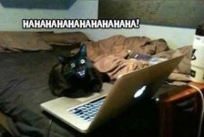 gato salem rie.jpg