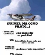 1er día como piloto ,ser como prros xdxd.jpg