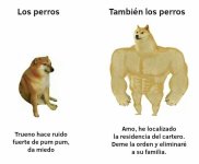 perros mimm v 4.4.8.jpg
