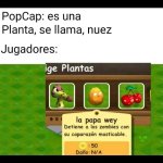 El bolillo ,prros.jpg