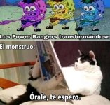 Orale t espero xdxd.jpg