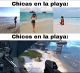 Desembaro en la playa ,ser como prros.jpg