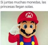 Lo que nos ha enseñado Super Mario ,prros xdxdxd.jpg