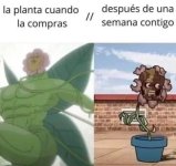 Mimm d plantas x 2.1.3 ,prros xdxdxd.jpg