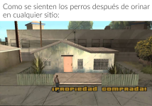 como se sienten los perros luego de orinar en otro sitio.png