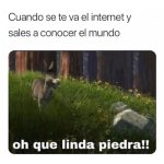 cuando se va el internet y sales a conocer el mundo xDD.jpg