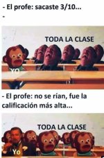 ALV ,prros.jpg
