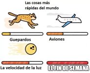 El fin d semana ,ser como prros.jpg