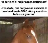 Caballo XD.jpg