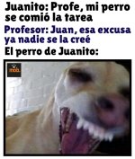 El perro de Juanito xdxdxd.jpeg
