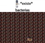 Bacterias meme v5.jpg