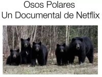 Osos Polares de Netflix ser como prros.jpg