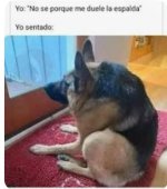 Yo sentado xd.jpg