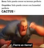 CACTUS XD.jpg