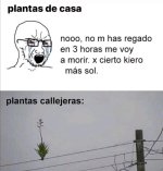 Clases d plantas ,ser como prros xdxd.jpg