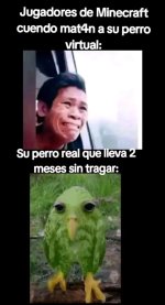 perro xdxdxd.jpg