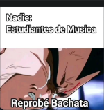 Reprobé bachata xdxdxd v 1.1.4.png