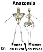 Anatomia pixar v 3.1.2 prros .jpg