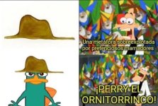 100pre fue perry prros.jpg