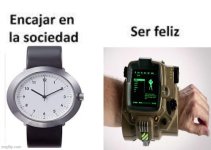 Deme 10 ,prros.jpeg
