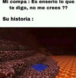 Nether. v 3.1.2 prros.jpg