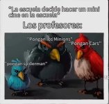 No c prros.jpg