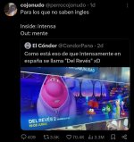 Del revés xdxdxd España lo hace again prros.jpg