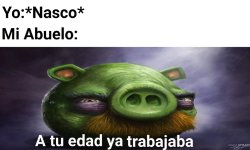 La exageración más mínima de mi abuelo ,prros.jpg