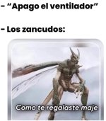 zancudos en verano ,ser como prros.jpg
