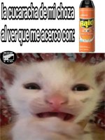 Cucarachin en ese presiso momento ,ser como prros .jpg