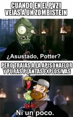 asustado ,ni un poco prros.jpeg