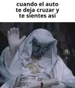 ae x t dejan cruzar y tu como v 1.2.3 prros.jpg