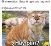 tigre que hay en mi x pregunta seria ,ser como v 1.1.4 prros.jpg