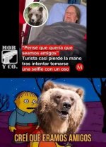 Los osos no estan d chill ,ser como prros .jpg