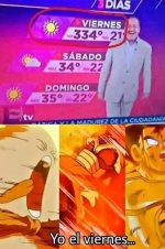 Mimm d viernes caluroso ,ser como v 1.2.3 prros.jpg