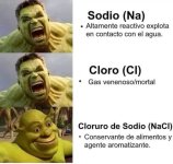 Mimm sobre sal ,prros.jpg